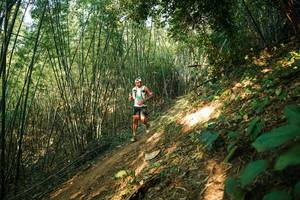 BIB: 
                            <button type="button" onclick="openModal(28141330)" class="btn btn-primary btn-sm float-right btn-popup" data-toggle="modal" data-target=".modal-high-quality">
                        <i class="fas fa-shopping-cart"></i> Add to Cart
                    </button>
                                            <button type="button" onclick="isThisMe(28141330, true)" class="btn btn-success btn-sm float-right btn-popup btn-isme hidden" data-toggle="tooltip" data-placement="bottom" title="นี่คือรูปของคุณใช่ไหม คลิกที่นี่เพื่อเอาเข้าอัลบั้ม">
                        <i class="fas fa-plus"></i> Add to album
                    </button>
                    <button type="button" onclick="isThisMe(28141330, false)" class="btn btn-warning btn-sm float-right btn-popup btn-isnotme hidden">
                        <i class="fas fa-ban"></i> Remove from album
                    </button>